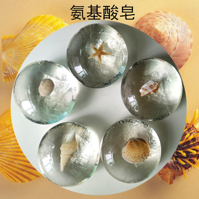 新款贝壳主图1.jpg