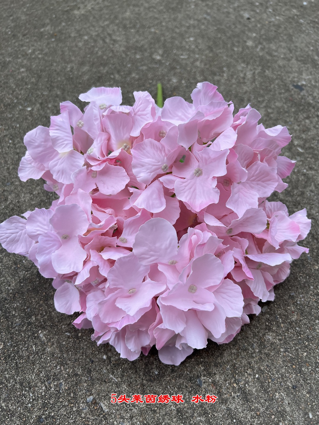 微信图片_20220818113646