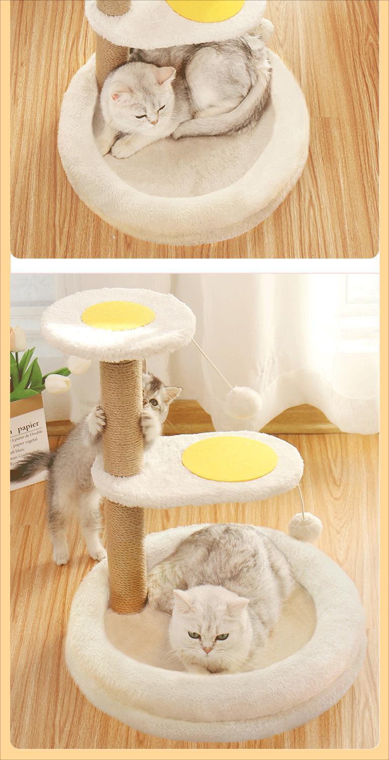 30c36ea7-ff7b-4312-a66d-80e947734baf.jpe