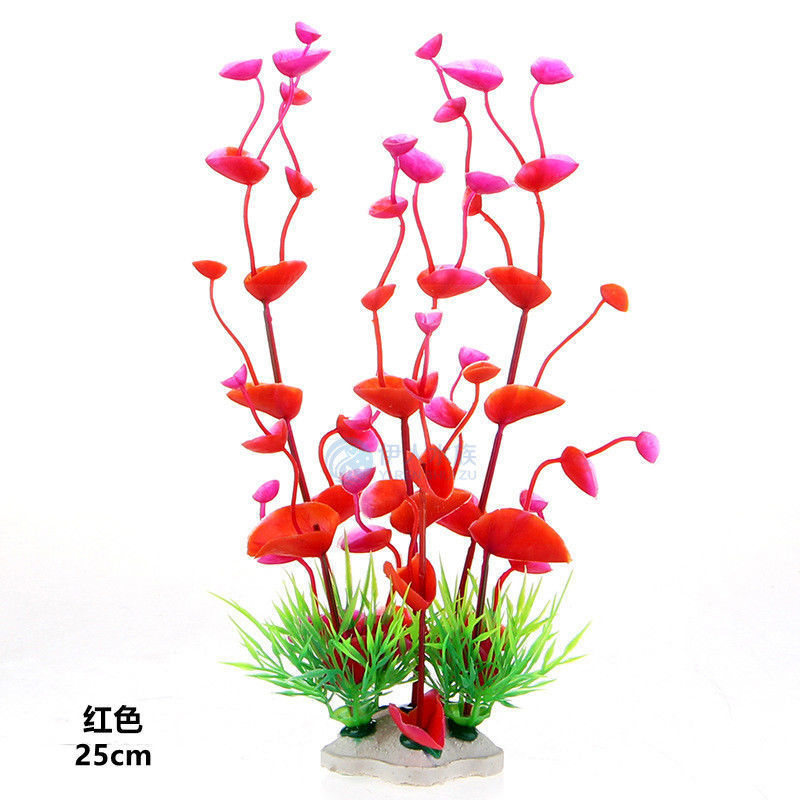 f564818d-bdc3-4ef9-8819-928c70e92aa7.jpe