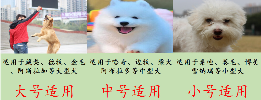 微信图片_20230412090940