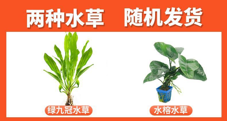 df10845d-c302-49b6-90fa-fab9c22566c7.jpe