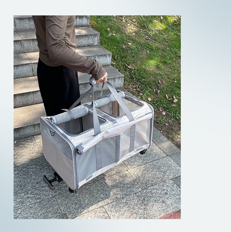 ca0b4d28-e337-46e3-80ed-8d9d570992cc.jpe