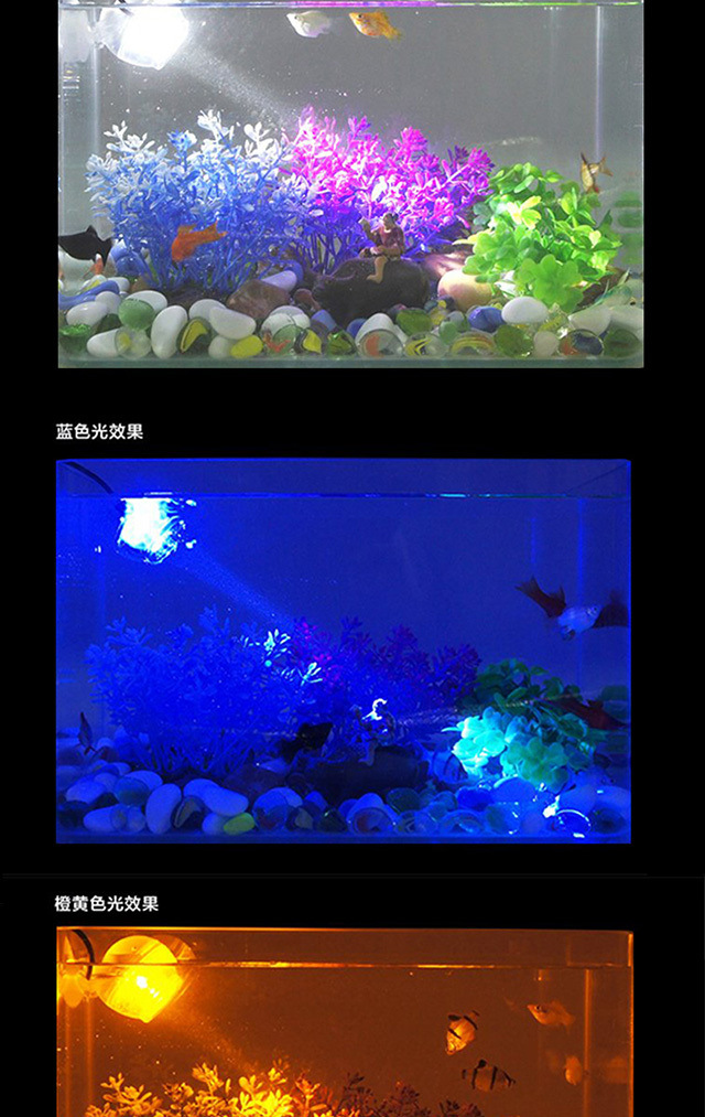 1c05198c-8d50-49ce-91be-93051305b6a1.jpe