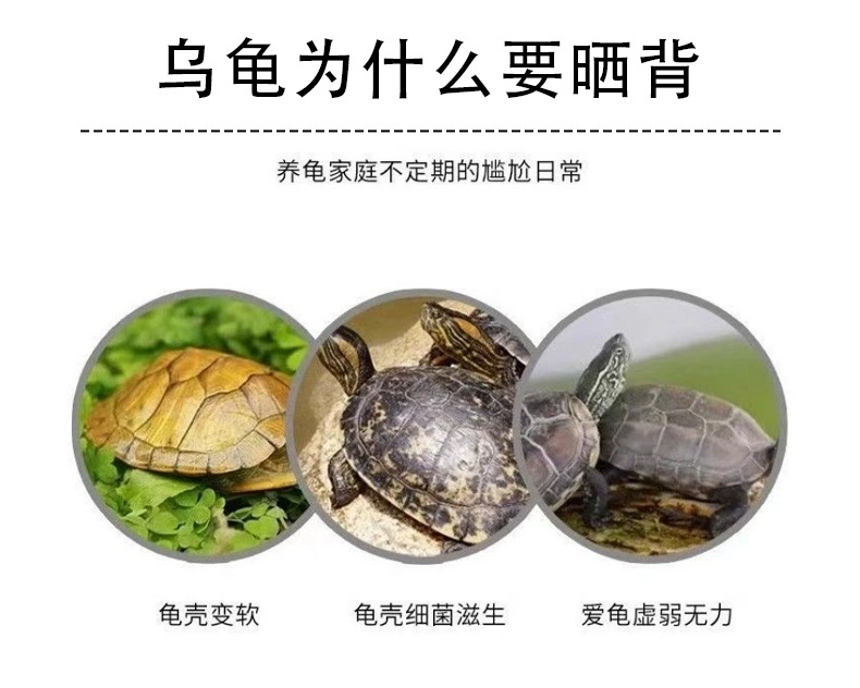 详情页_03.jpg