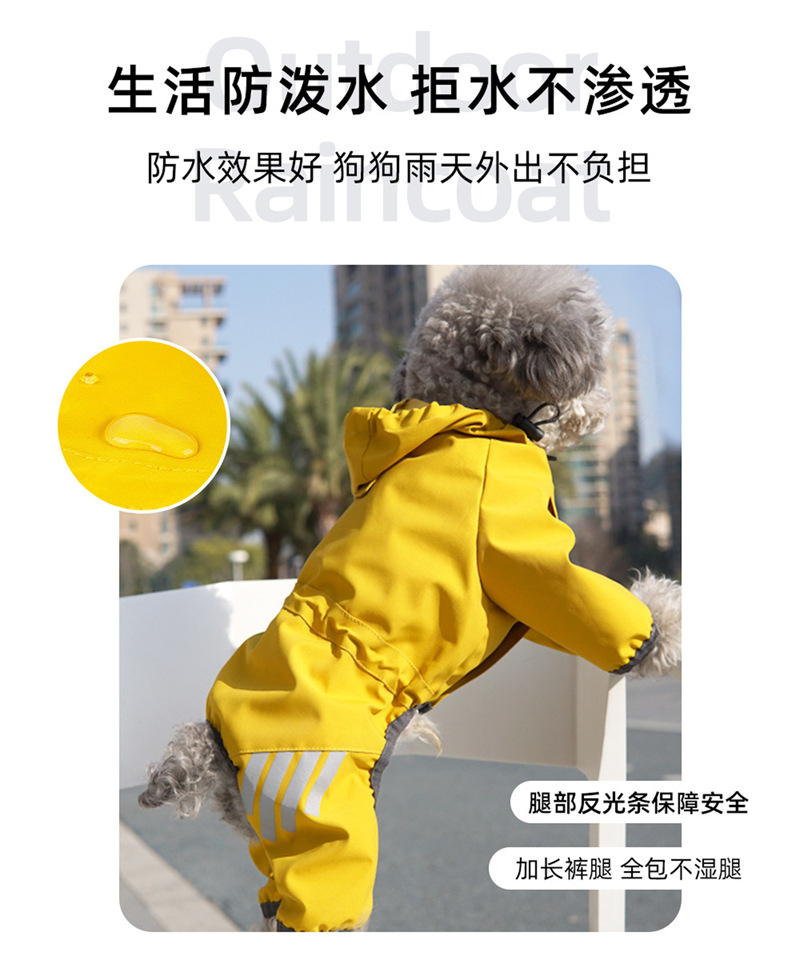 O1CN01I6n5x41oJTxEjrrhz_!!9352