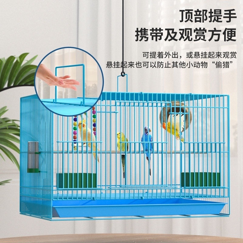 fb820ea5-247d-4ff5-b6ce-8e2aee61a9ac.jpe
