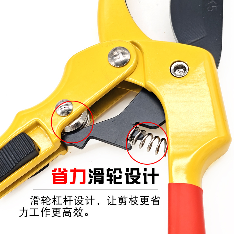 滑轮2.jpg