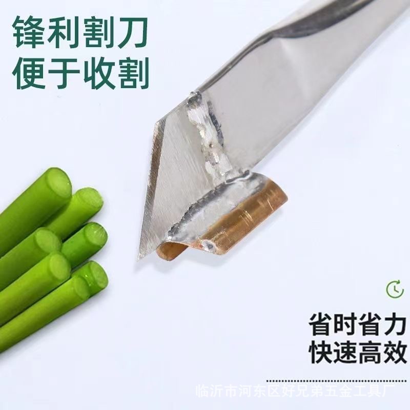 微信图片_202504141520511.jpg