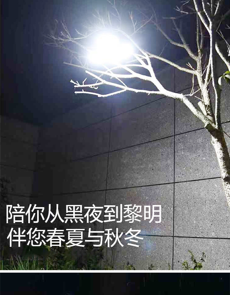 e41fbd1c-17c0-4fee-a57d-8eda4569ec33.jpe