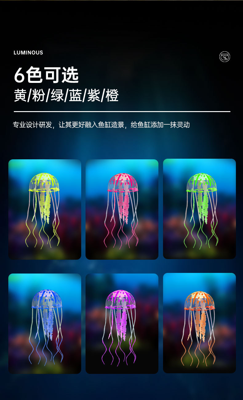 水母详情_04.jpg