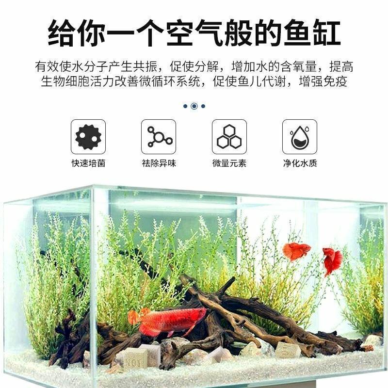 38c115e6-a124-46b7-912f-4527aa34a323.jpe