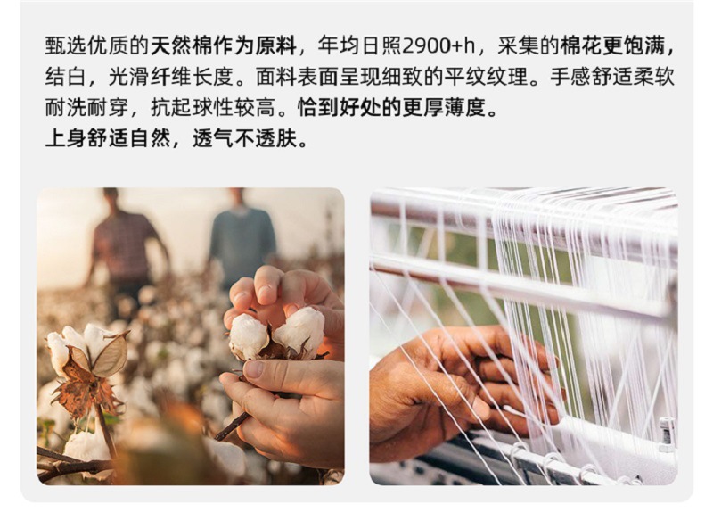 O1CN01XGyCvz1cKbTmOqhjX_!!3625