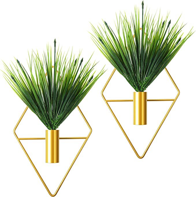 71osEXiCeLL._AC_SX679_