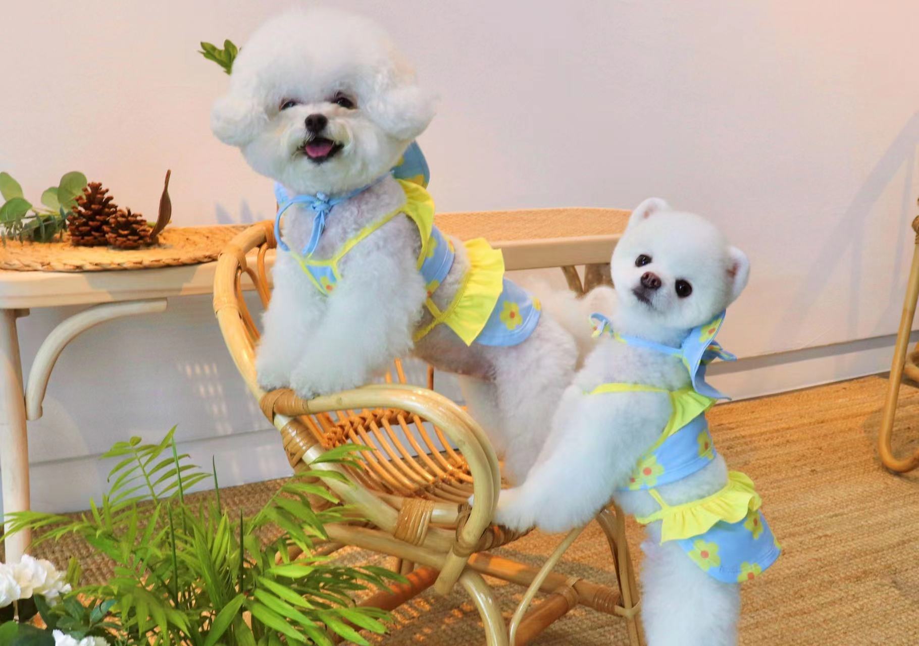 微信图片_20220512103207