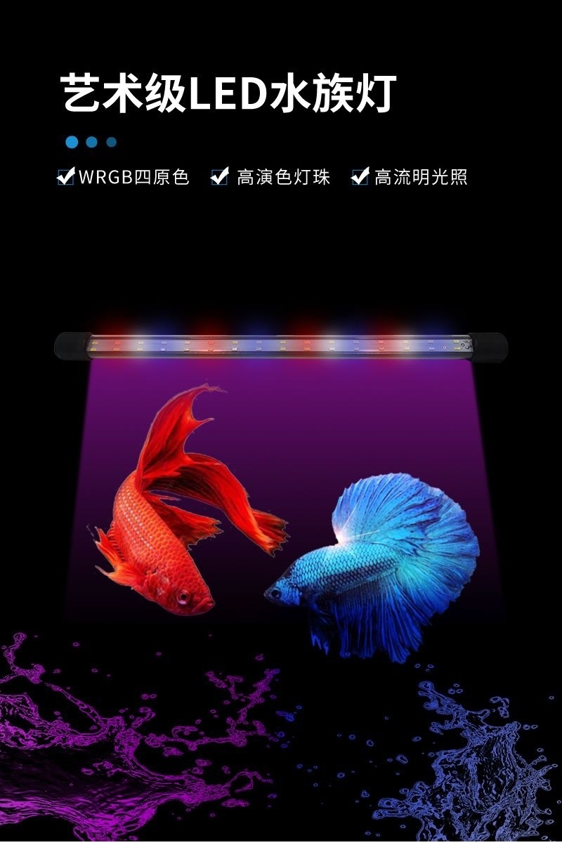 45054ffc-4947-4a32-80b6-bd64c8f2c7a8.jpe