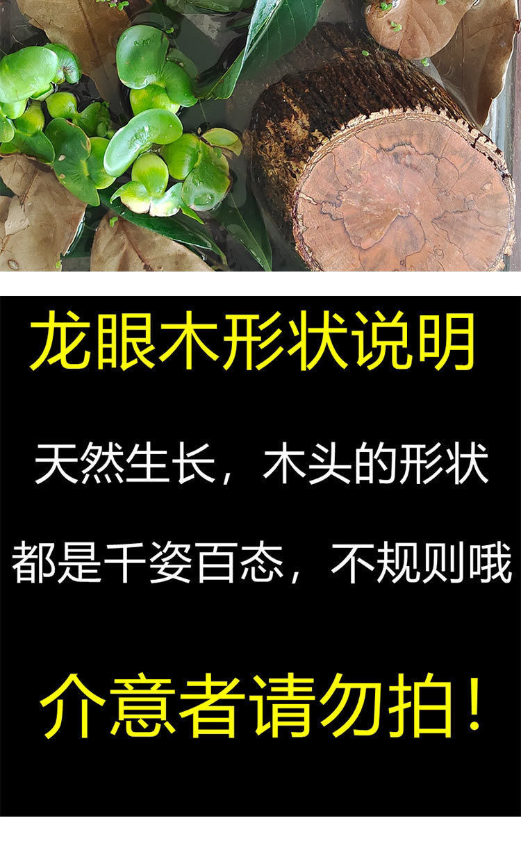 6a92055f-ae24-4c55-a32c-80dbe85213a5.jpe