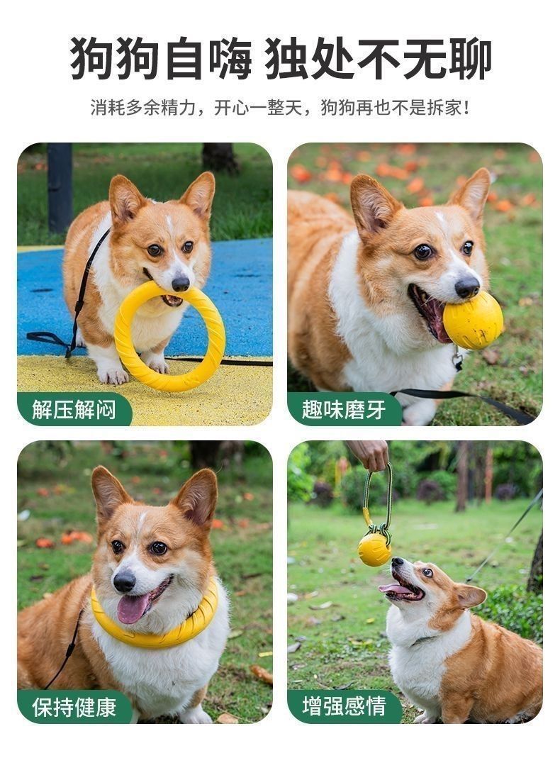 d5564b5b-8010-4071-a11a-b9ad5825a617.jpe