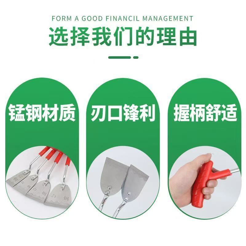 微信图片_202504081900043.jpg