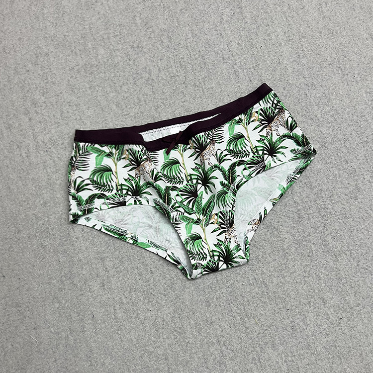 白底绿叶 (3).jpg