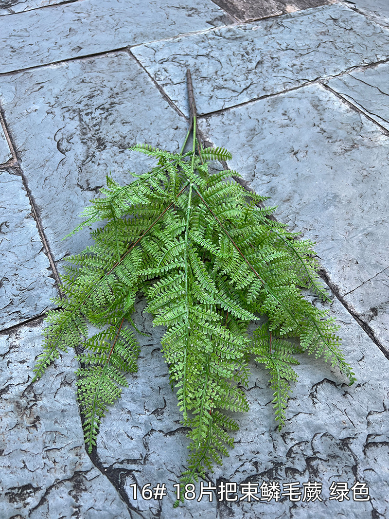 16#-18片把束鳞毛蕨-绿色.jpg