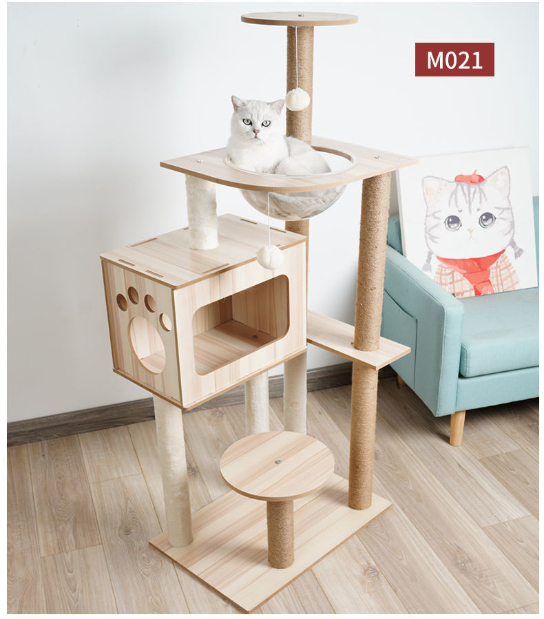 a8aa062d-e64a-4d77-ad45-0537679af1e6.jpe