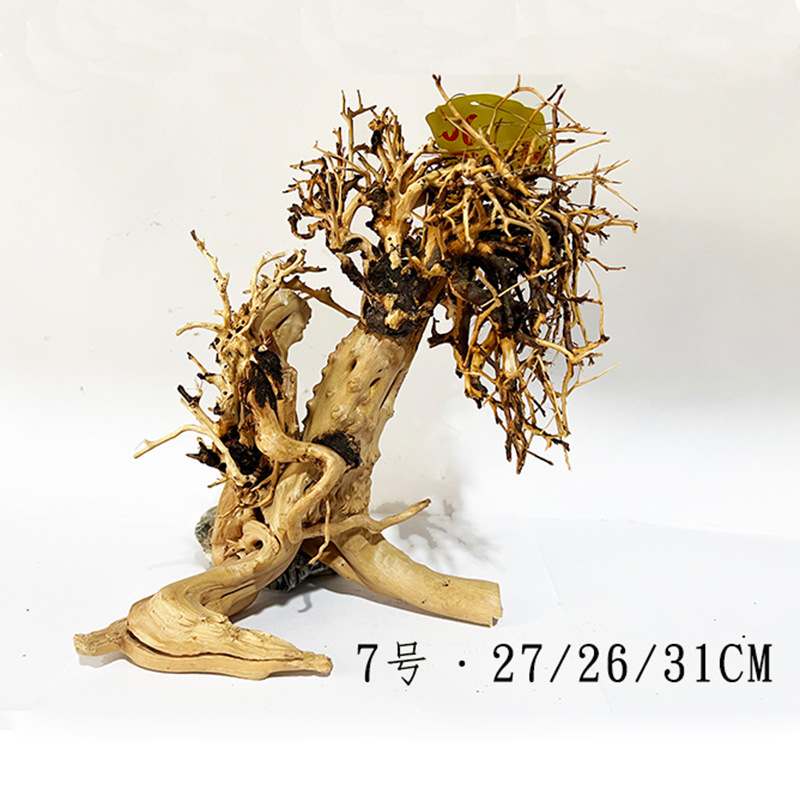 鱼缸景观沉木栖根景观缸造景全套莫斯树沉木黑壳虾斑马鱼缸景观木
