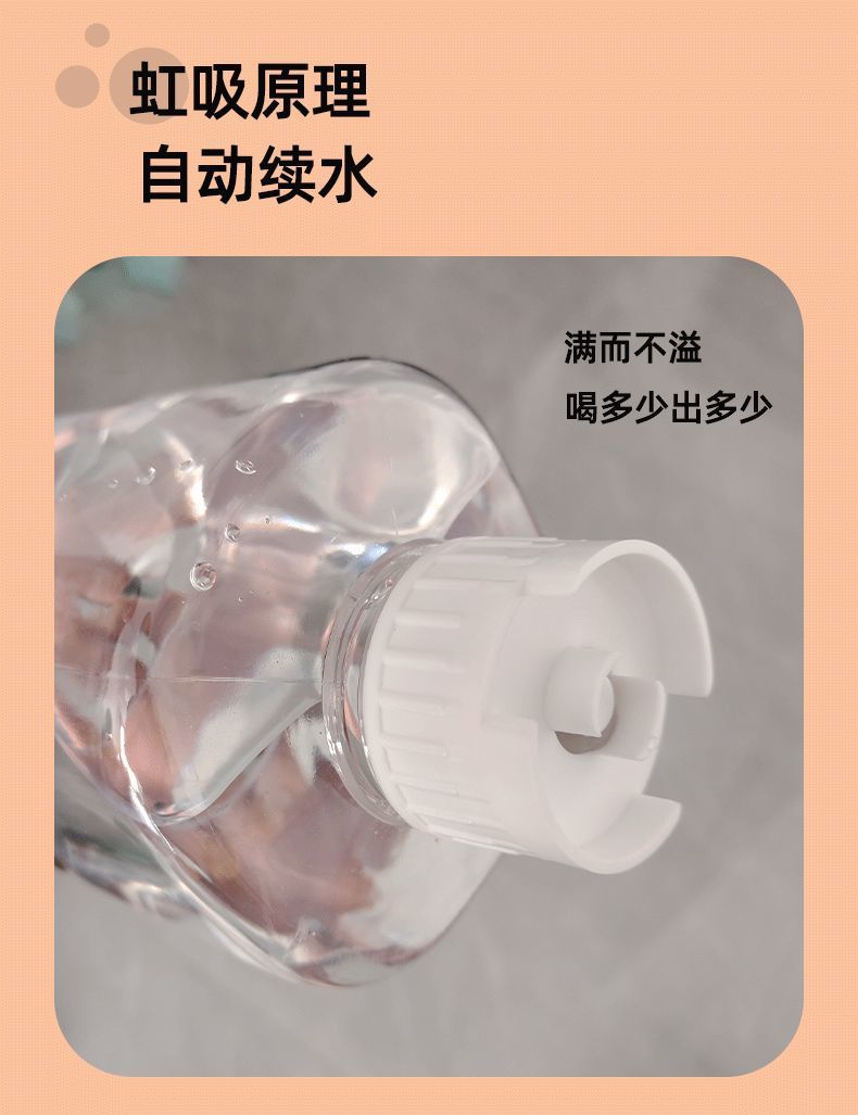 baaada18-6154-4079-ac16-ef6c48039623.jpe