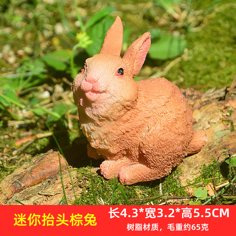 迷你抬头棕兔.jpg