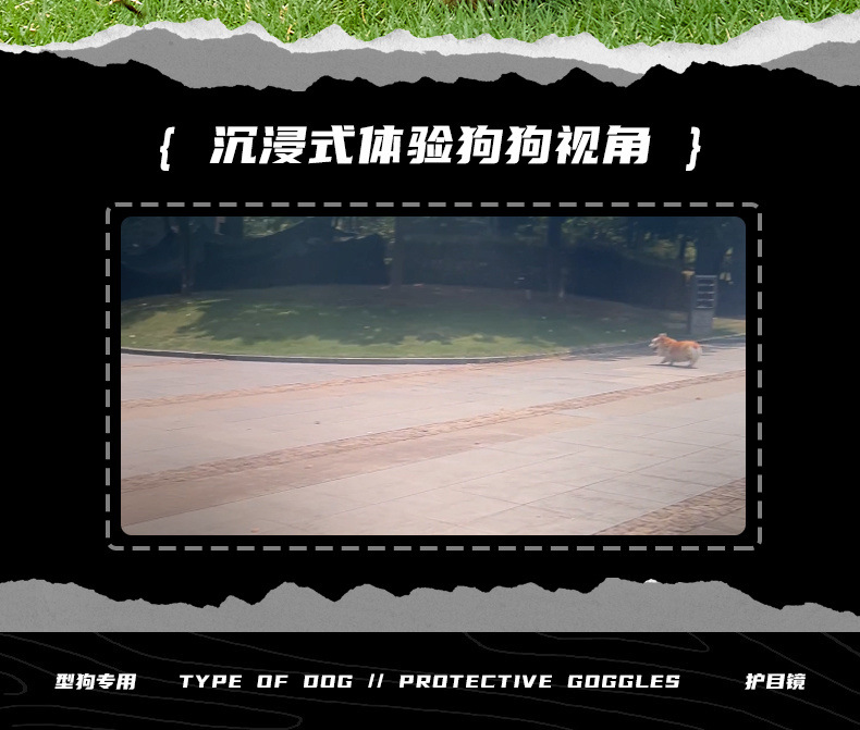 9b052e0e-bf0c-4547-87dd-b01ad5396c35.jpe