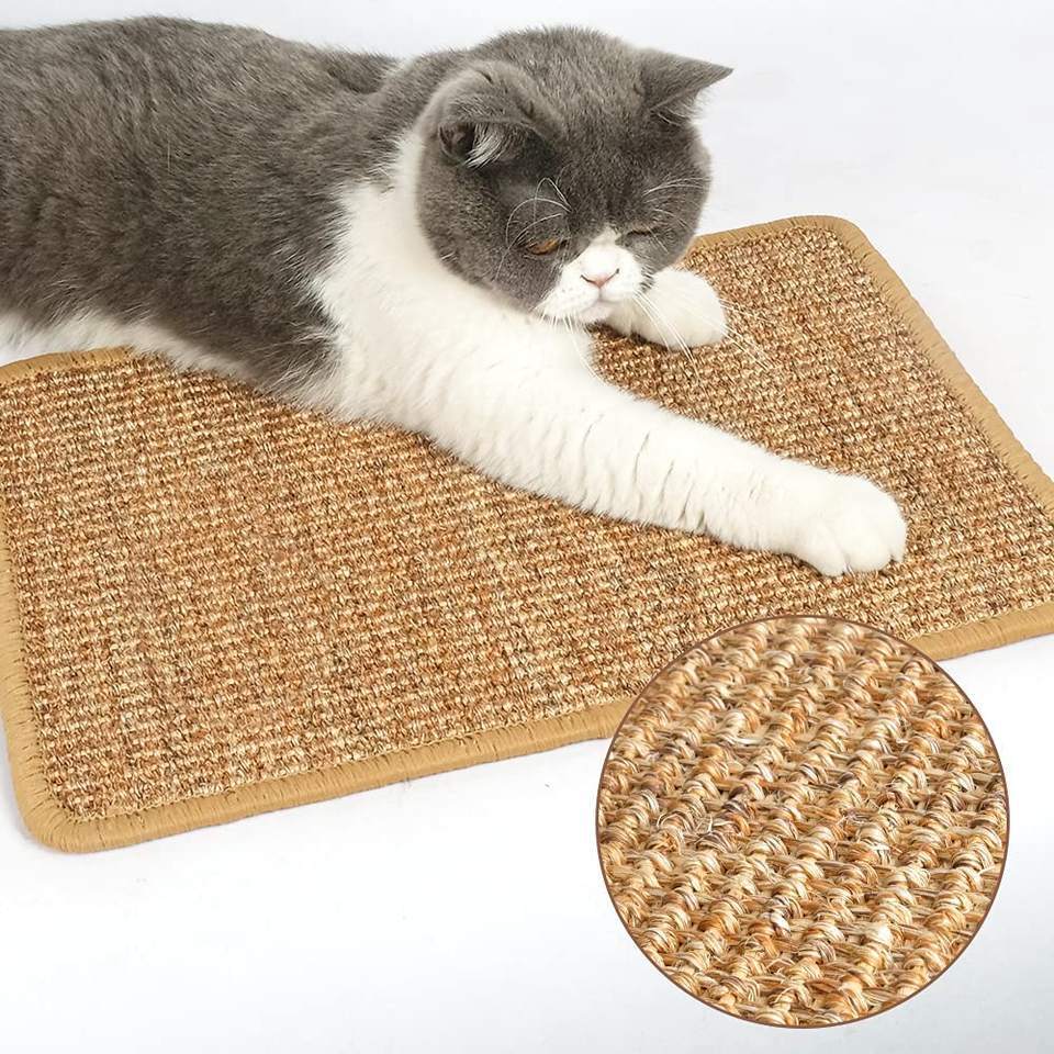 微信图片_20221128165334