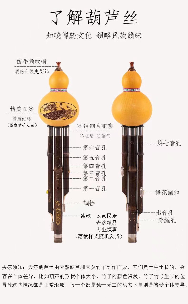 紫竹葫芦丝介绍