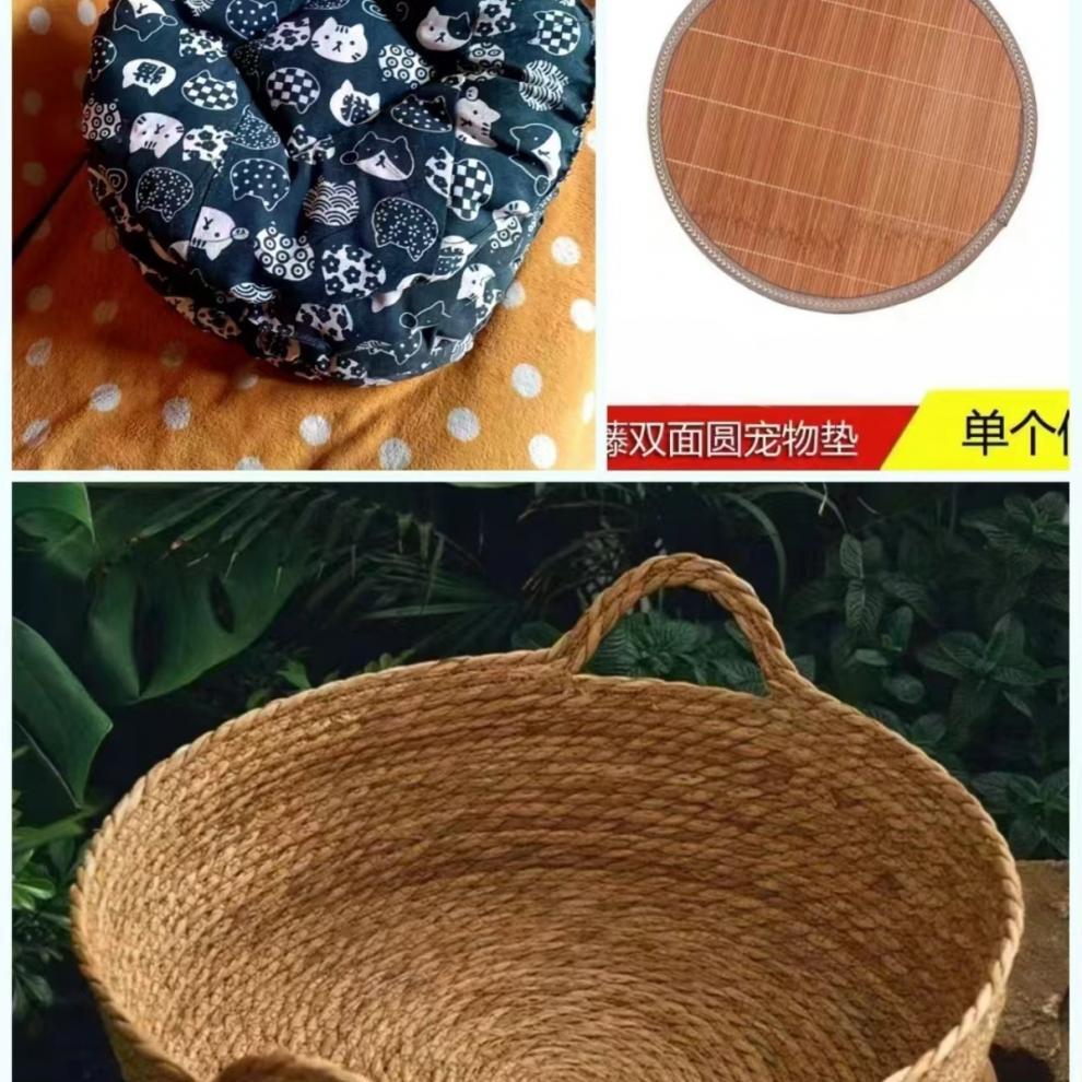 eed4283b-f101-4939-93d2-de2dda5c55b1.jpe