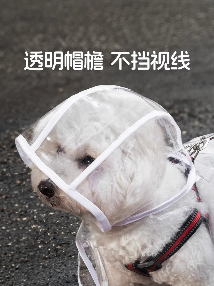 d31e5125-49c8-4a27-bbbc-dad15290c5d6.jpe