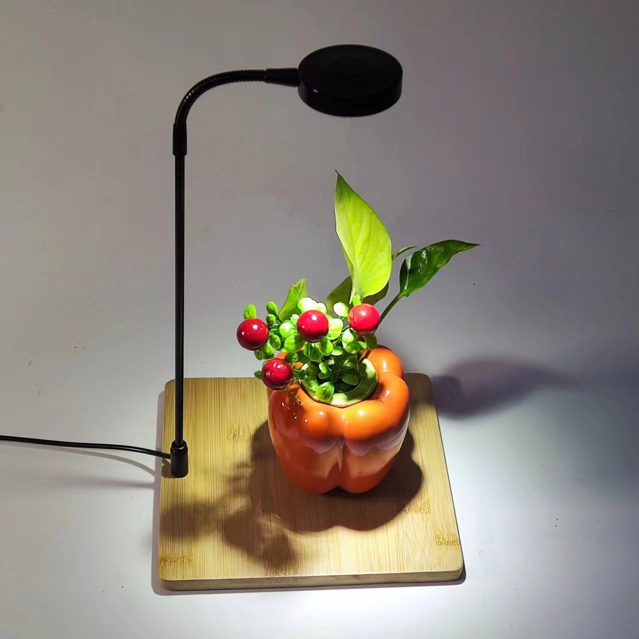 微信图片_20231114225348