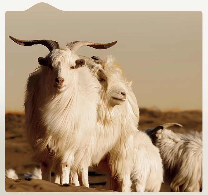 O1CN01rnUci71xR7GT4lz40_!!3548