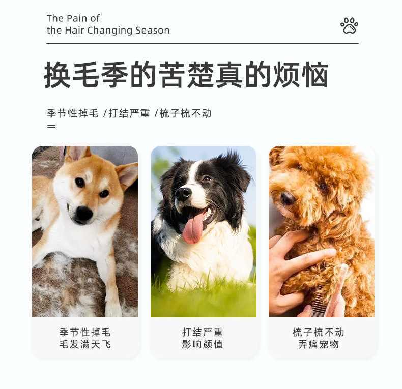 宠物开结梳_03.jpg