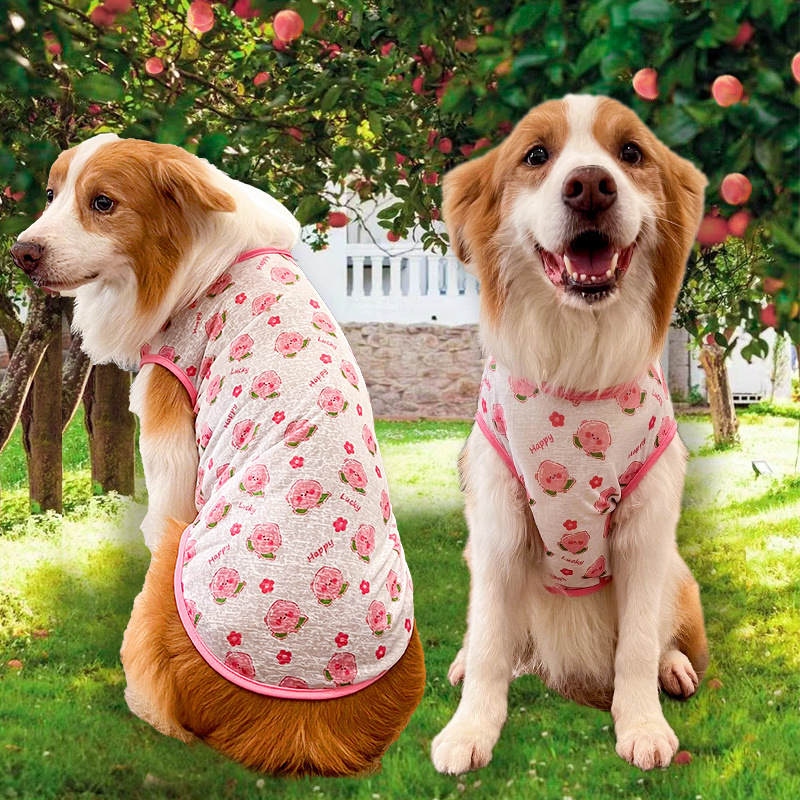 5c85d554-dc9e-47ce-93a9-70156e8a4b0b.jpe