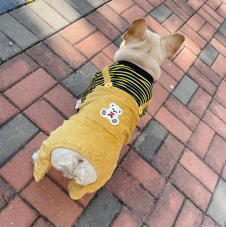 2022弹力连体裤_11