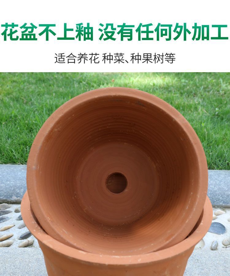 fea5807a-3c86-4589-bf92-2087a134f1d2.jpe