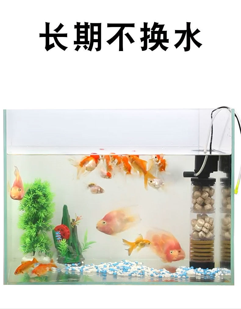 f3c9db42-bc93-4ca0-a215-dd1bf4019404.jpe