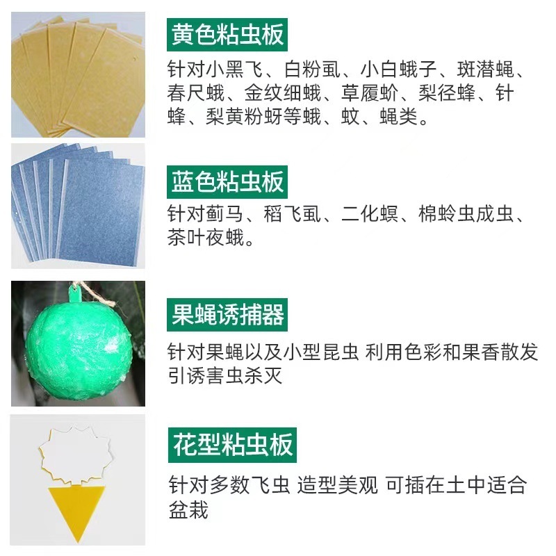 bd9c480f-ee1f-4b69-a8a6-952351cf99cf.jpe