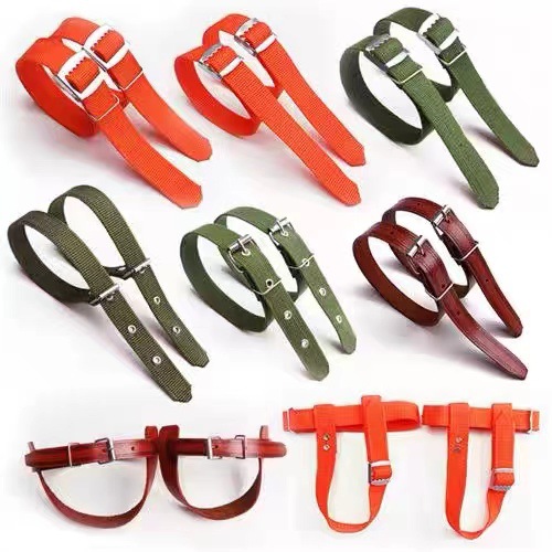 59e6d477cad6ca642daad6ec1eb1b2