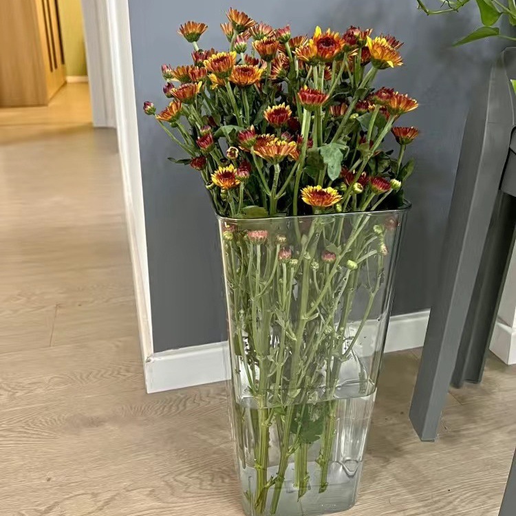 94e9ccb2-1900-4dc7-bb35-08c88b89da61.jpe