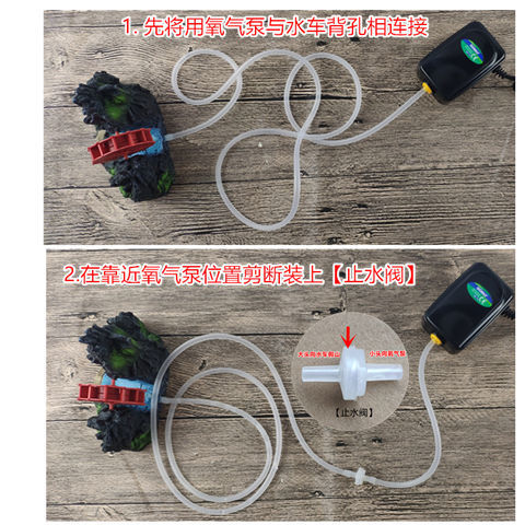 635dbe8c-b3d2-4094-8d6c-b6bf887a42ba.jpe