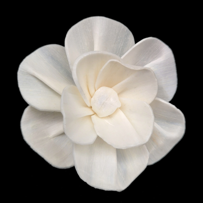 6cm山茶花