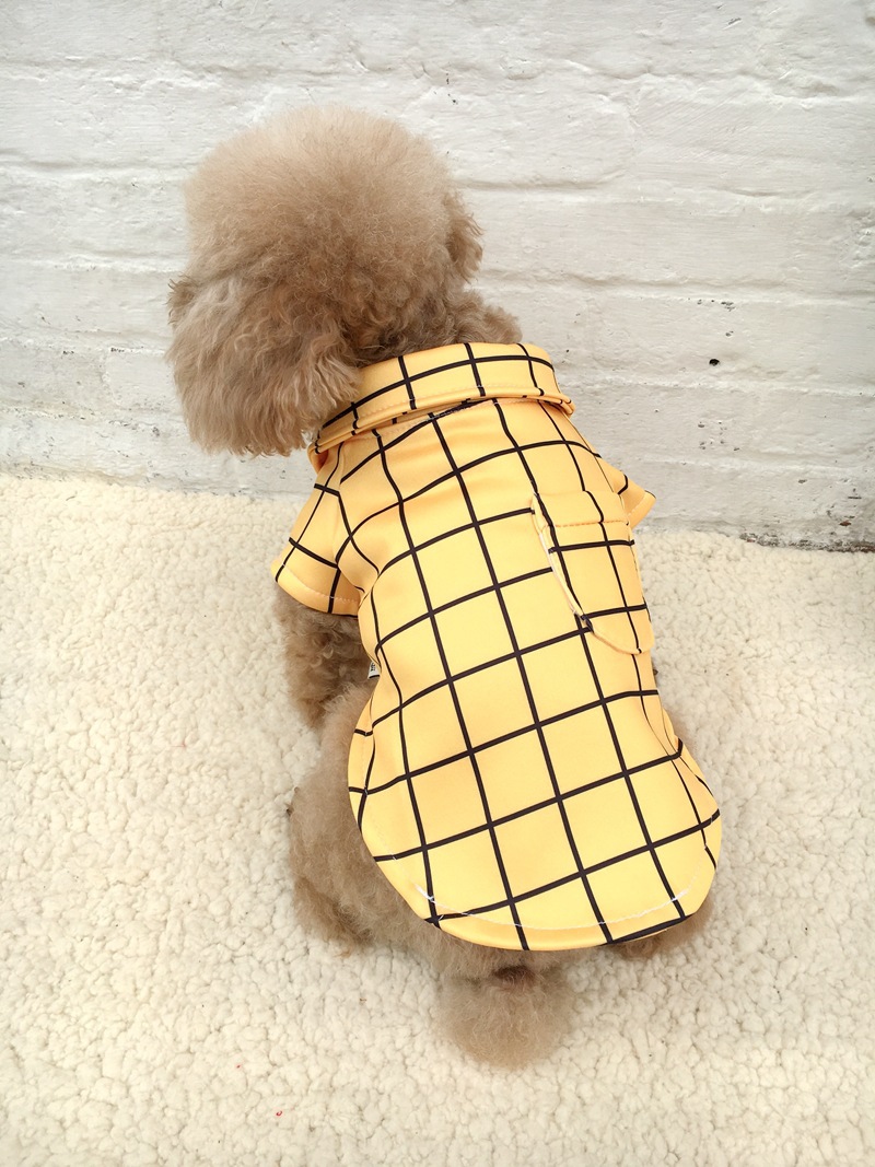 園長睡衣 (1).JPG