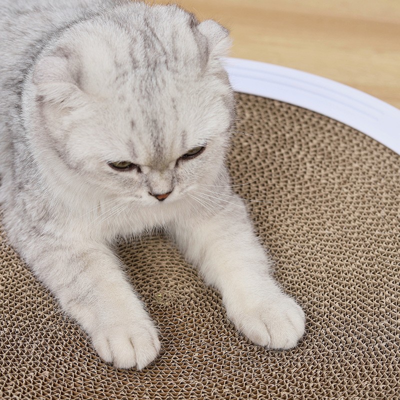 O1CN0156ZV4k1lVtkx6MZnI_!!1767