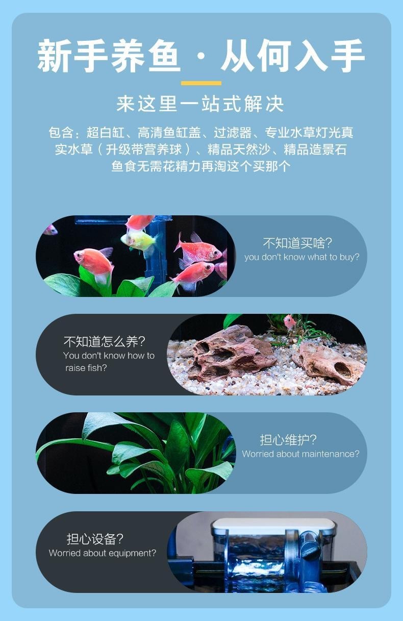 9c13a12f-3e08-4982-8950-b171c147fa76.jpe