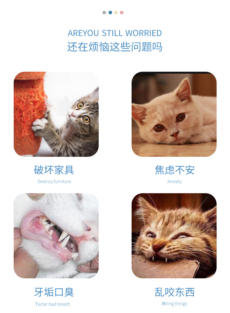 详情_02